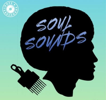 Loops 4 Producers Soul Sounds WAV